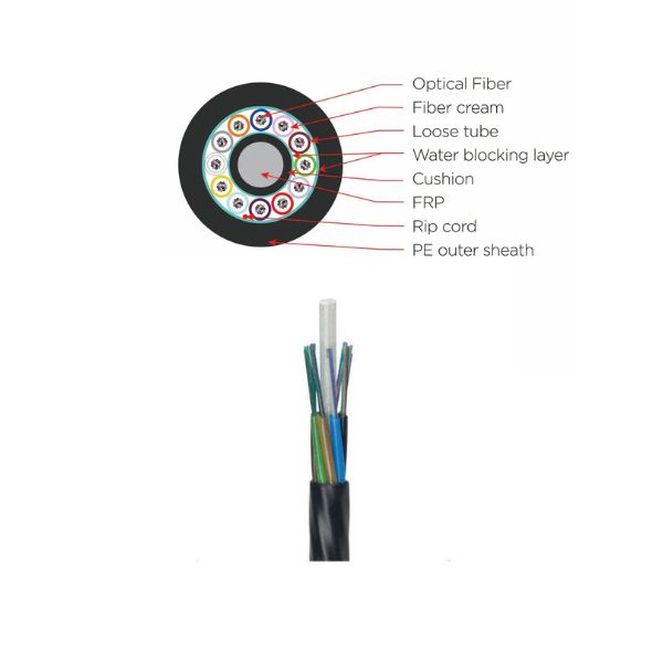 ACSR Conductor