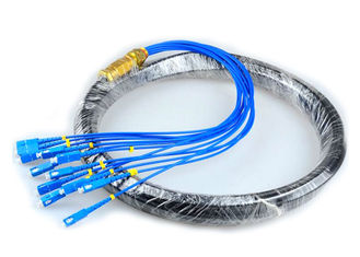 China CATV Network Optical Fiber Pigtail 12 Core Fiber Outdoor SC Pigtail Waterproof supplier