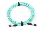 China 12 Fiber Optic Patch Cord Aqua Color MPO - MPO LSZH SM / MM For Broadband factory