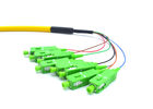 China Bundle SM Optical Fiber Pigtail Patch Cord 8 Core Multimode With SC / APC Connector factory