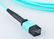 12 Fiber Optic Patch Cord Aqua Color MPO - MPO LSZH SM / MM For Broadband supplier